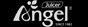 Angel AG-5500 Stainless Steel Twin Gear Cold-Press Slow Juicer