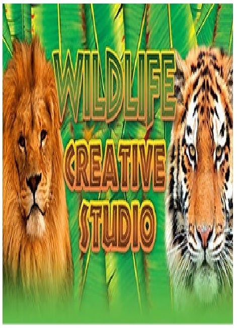 Alternative Software Ltd Wildlife Creative Studio PC Game