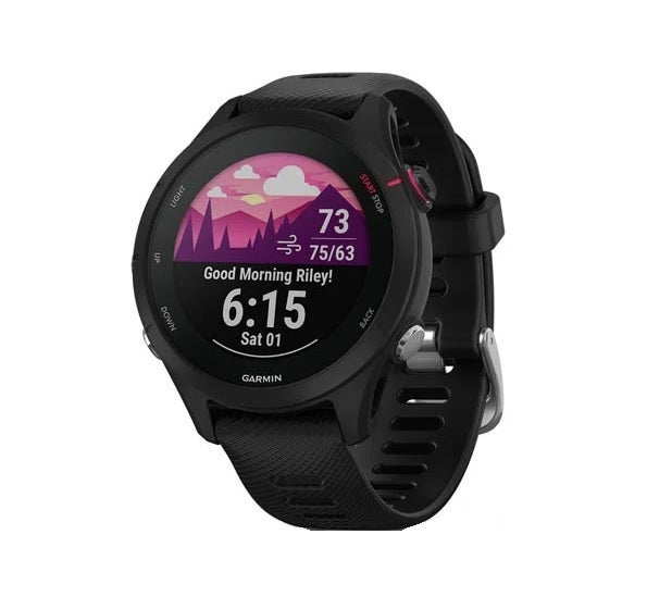 Garmin Forerunner 255S Smart Watch