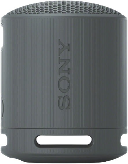 Sony SRS-XB100 Portable Speaker