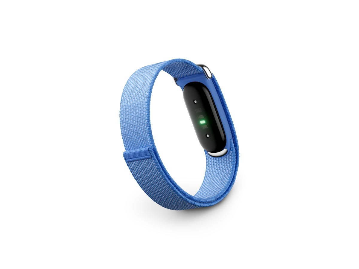 Google Fitbit Air  Fitness Tracker