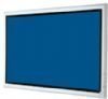 Sony PFM42B2S 42inch Plasma Television
