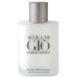 Giorgio Armani Acqua Di Gio 100ml Edt Men S Cologne Price In Philippines Www Pricepanda Com Ph