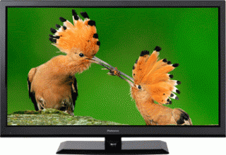 Palsonic TFTV607LEDR 23.6inch Full HD LED LCD Television