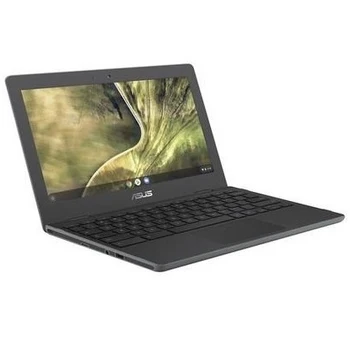 Asus Chromebook C204 11 inch Laptop