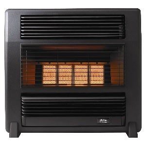 Altise OALAFNGBM Natural Gas Heater