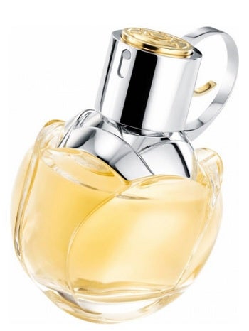 azzaro perfume myer