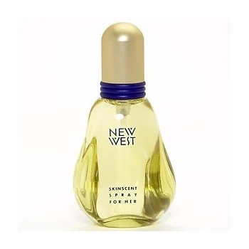 Aramis New West 100ml EDT Women's Perfume