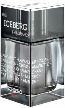 Iceberg The Iceberg Fragrance 100ml EDT Men's Cologne
