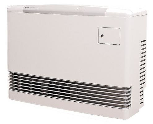 Rinnai Energysaver 556FDT Heater