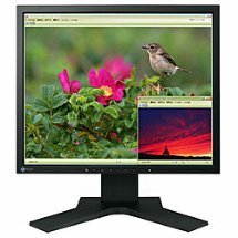 Eizo FlexScan S1721 17inch LCD Monitor