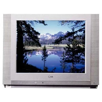 LG RT21FB75V 21inch Flat Screen Television