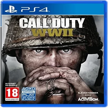 Activision Call Of Duty WW11 PS4 Playstation 4 Game