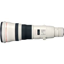 Canon EF 800mm F5.6L IS USM Lens