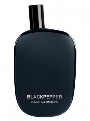 Comme des Garcons Blackpepper 100ml EDP Unisex Cologne