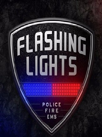 Excalibur Flashing Lights Police Fire EMS PC Game