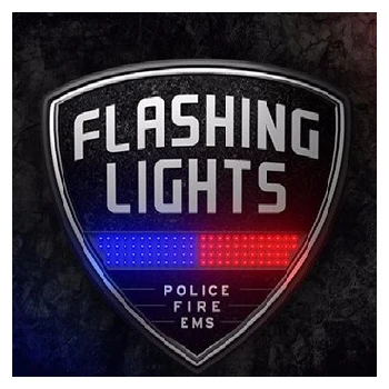 Excalibur Flashing Lights Police Fire EMS PC Game