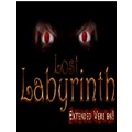 Flying Lost Labyrinth Extended Version PC Game