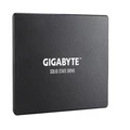 Gigabyte GP-GSTFS31120GNTD Solid State Drive