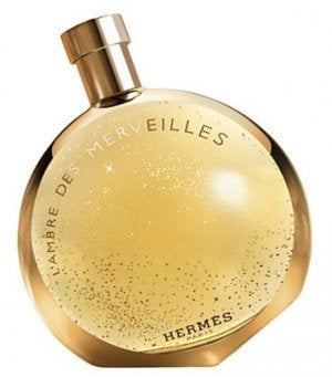 Hermes LAmbre Des Merveilles 100ml EDP Women's Perfume