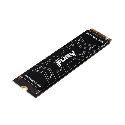 Kingston Fury Renegade Solid State Drive