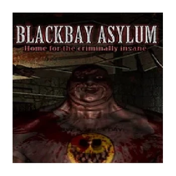 Kiss Games BlackBay Asylum PC Game