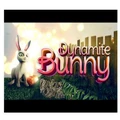 Majao Games Dynamite Bunny PC Game