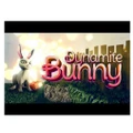 Majao Games Dynamite Bunny PC Game