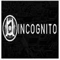 Microsoft Incognito PC Game