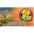 Kiss Games Pixel Puzzles Ultimate Puzzle Pack Montana PC Game