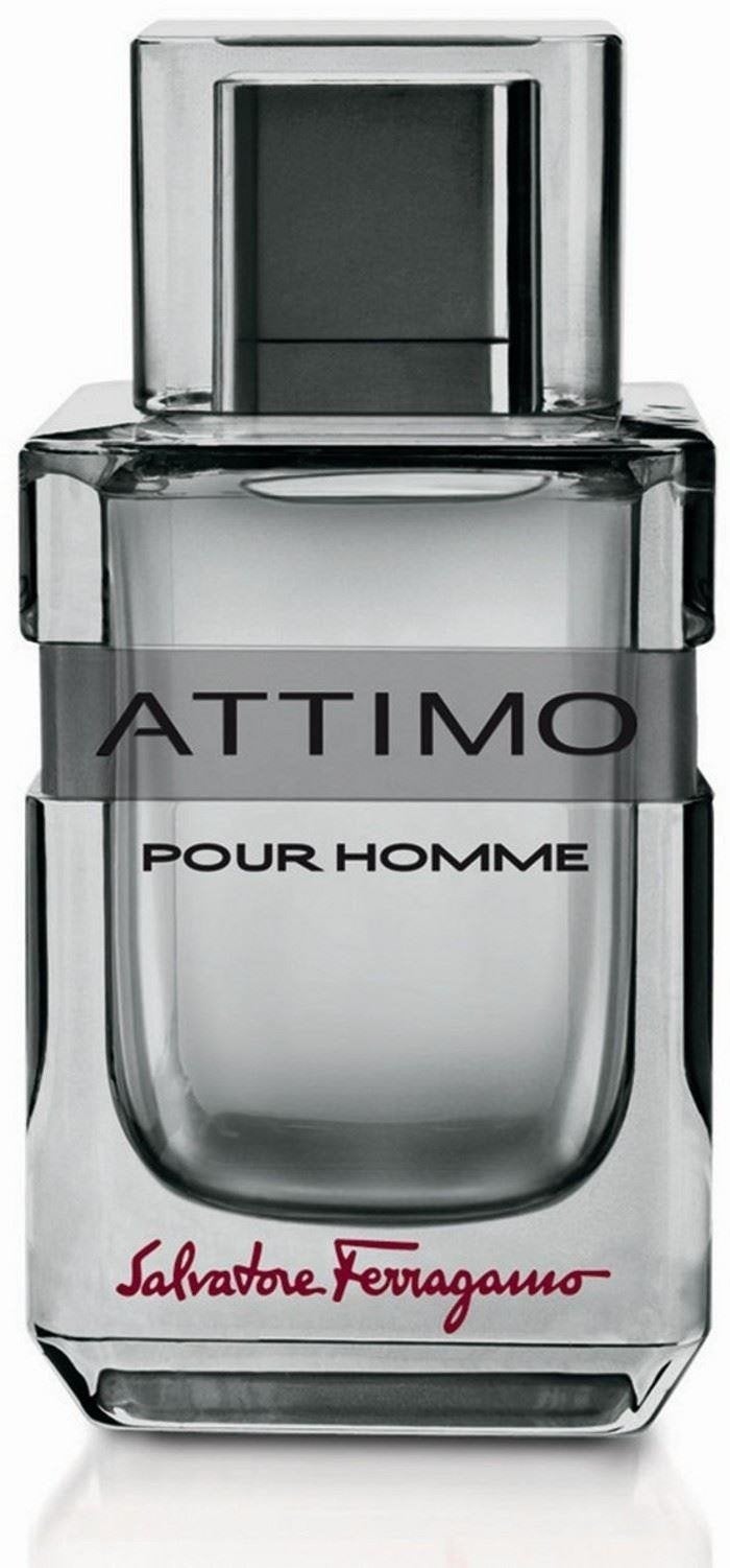 Salvatore Ferragamo Attimo Men's Cologne