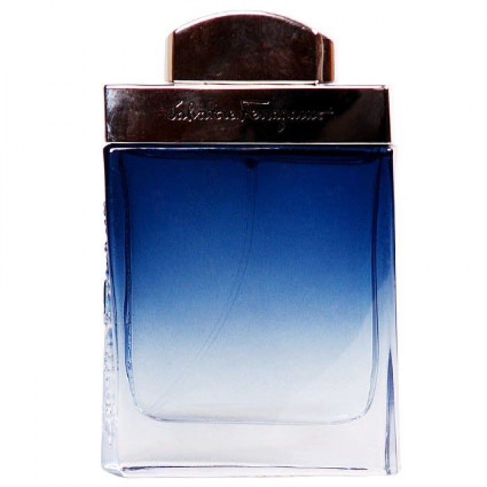 Salvatore Ferragamo Subtil Men's Cologne
