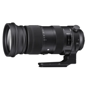 Sigma 60-600mm F4.5-6.3 DG OS HSM Lens