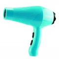 Silver Bullet City Chic Professional Hair Dryer