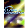 Sometimes You Cranium Conundrum PC Game