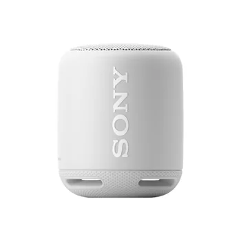 Sony SRSXB10 Portable Speaker