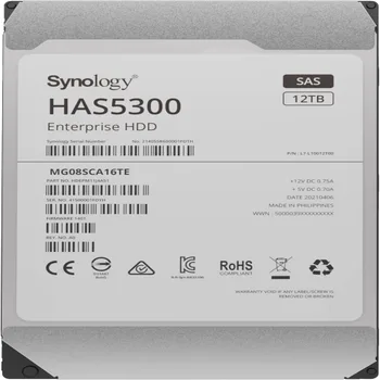 Synology HAS5300 SAS Hard Drive