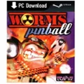 Team17 Software Worms Pinball PC Game