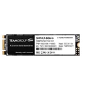 TeamGroup MS30 M 2 Solid State Drive