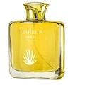 Tequila Perfumes Tequila Gold Men's Cologne