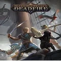 Versus Pillars of Eternity II Deadfire Standard Edition PC Game