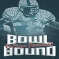 Viva Media Bowl Bound College Football PC Game
