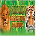 Alternative Software Ltd Wildlife Creative Studio PC Game