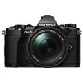Olympus OM-D E-M5 Mark II Digital Camera