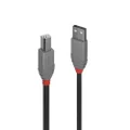 Lindy 1m USB2 A-B Cable AL (36672)