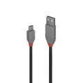 Lindy .2m USB2 A-Micro-B AL (36730)