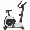 Lifespan Fitness EXC-100 Commercial Exercise Bike LFEX-EXC100
