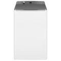 Fisher & Paykel 10kg Top Load Washing Machine with UV Sanitise and Auto Dose WL1064P1