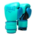 Everlast Powerlock2 Training Boxing Gloves Biscay 10oz