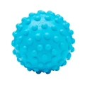 Celsius Therapy Ball